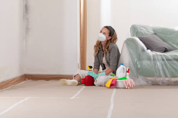 Reliable Mold Remediation contractor in Richmond, VA by Cheap Mold Removal